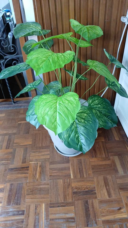 Plantas artificiales | planta decorativa