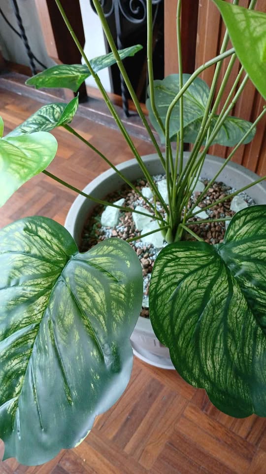 Plantas artificiales | planta decorativa - Image 2